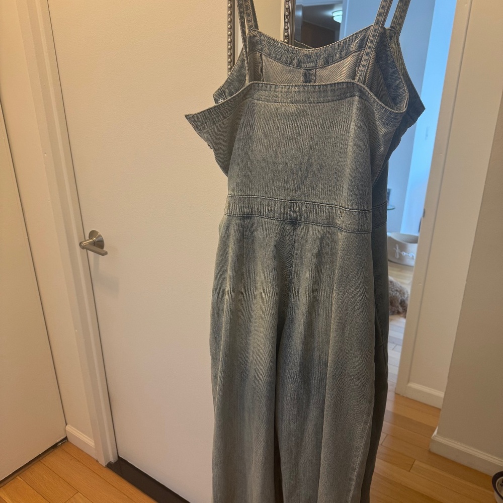 AG denim jumpsuit